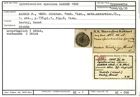 Karteikarte zum Syntyp von Spiroloculina speciosa Karrer, 1868